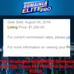 domainer elite pro software review